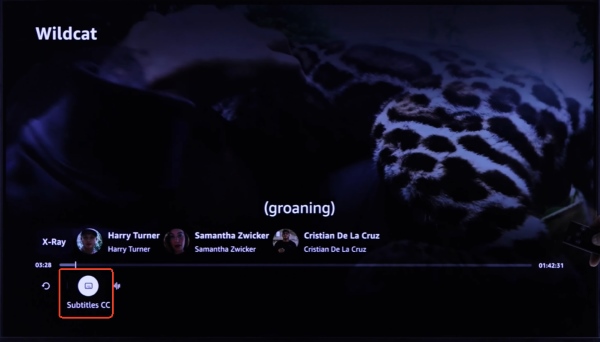 prime video subtitles on tv