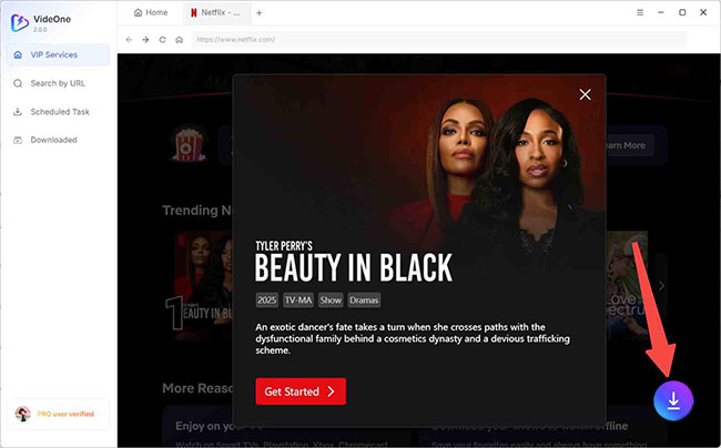 tuenfab netflix video downloader