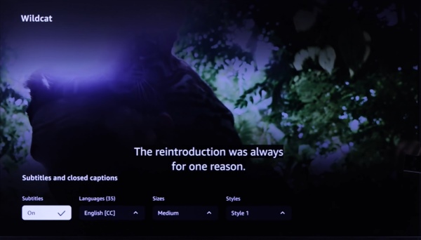turn on prime video subtitles on tv