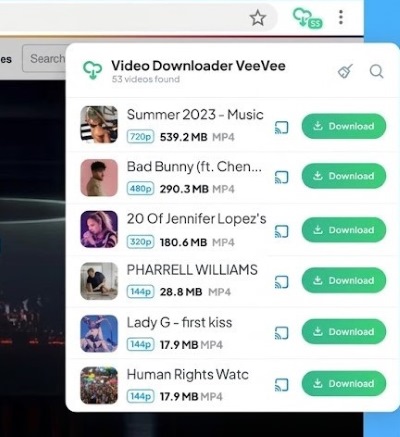 veevee video downloader
