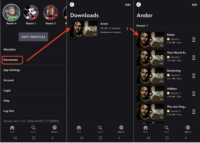 view disney plus downloads