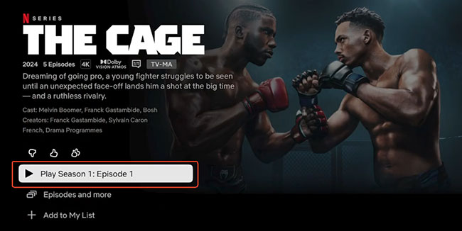 watch netflix on apple tv