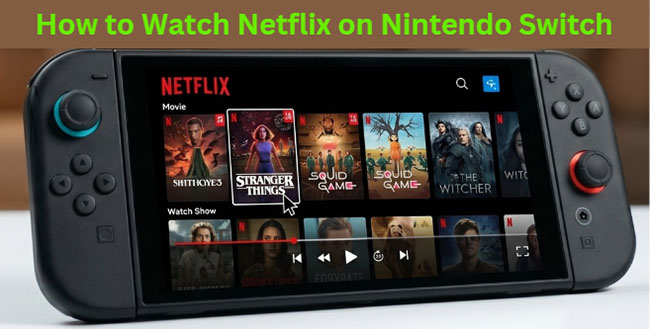 watch netflix on nintendo switch