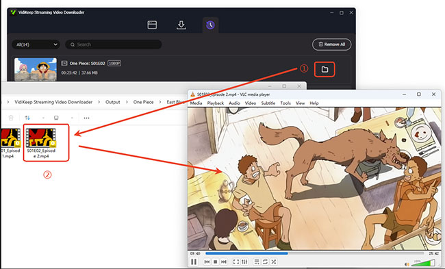 watch netflix videos on vlc
